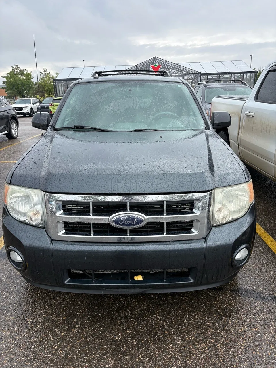 Ford Escape 2009 photo 2