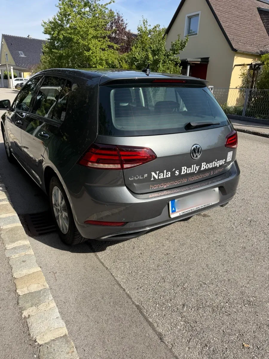 Volkswagen Golf 2018 photo 3