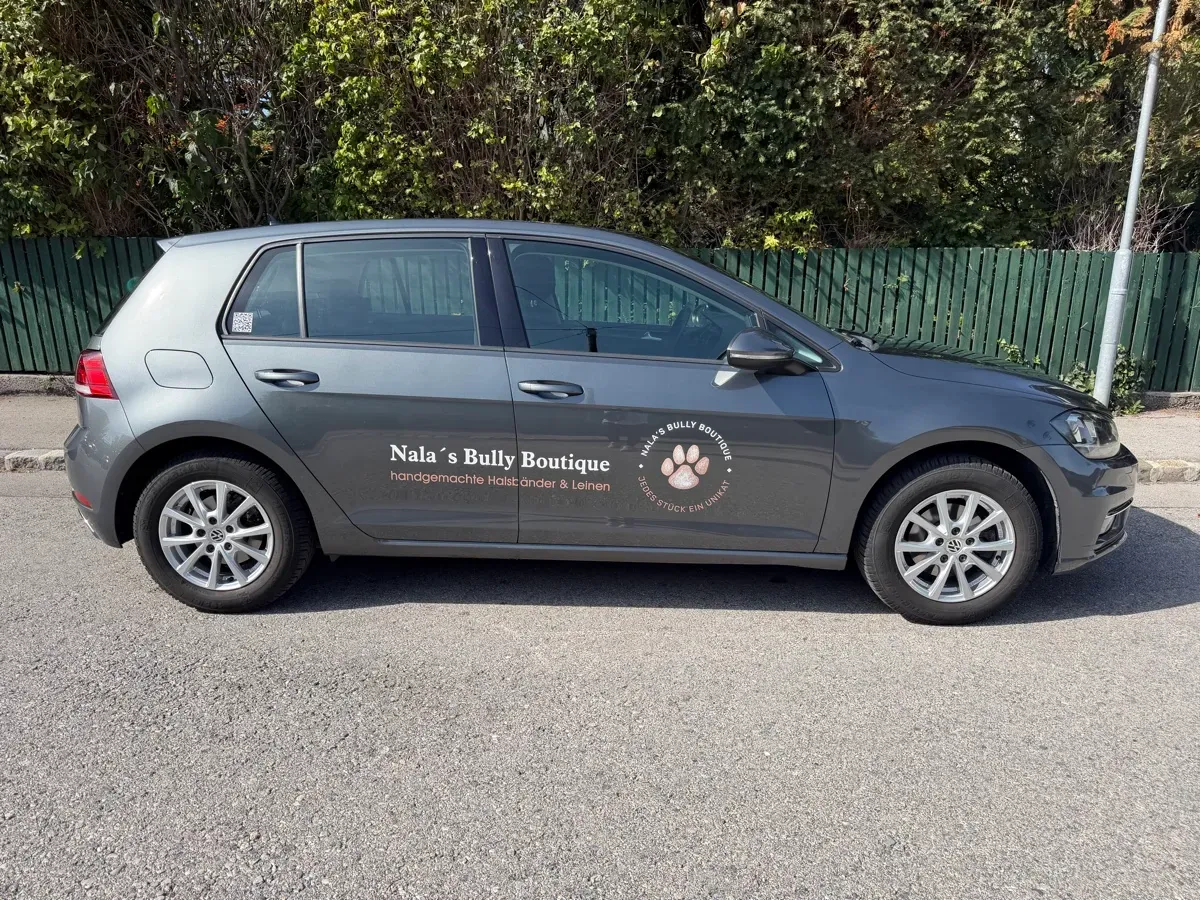 Volkswagen Golf 2018 photo 2