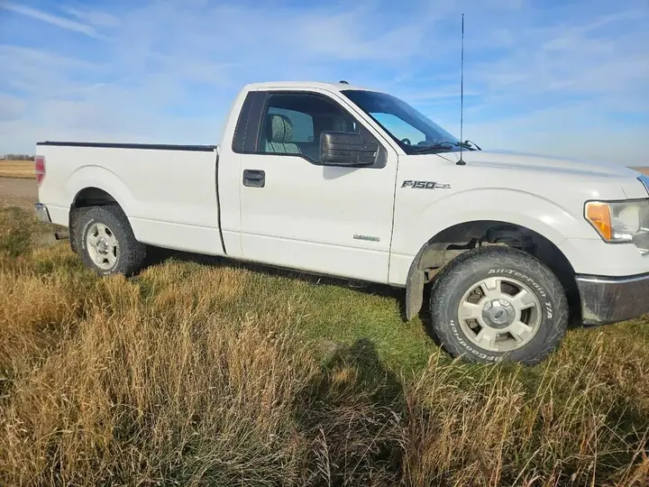 Ford F-150 2014 photo 3