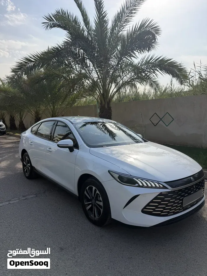 BYD Qin Plus 2025 photo 2