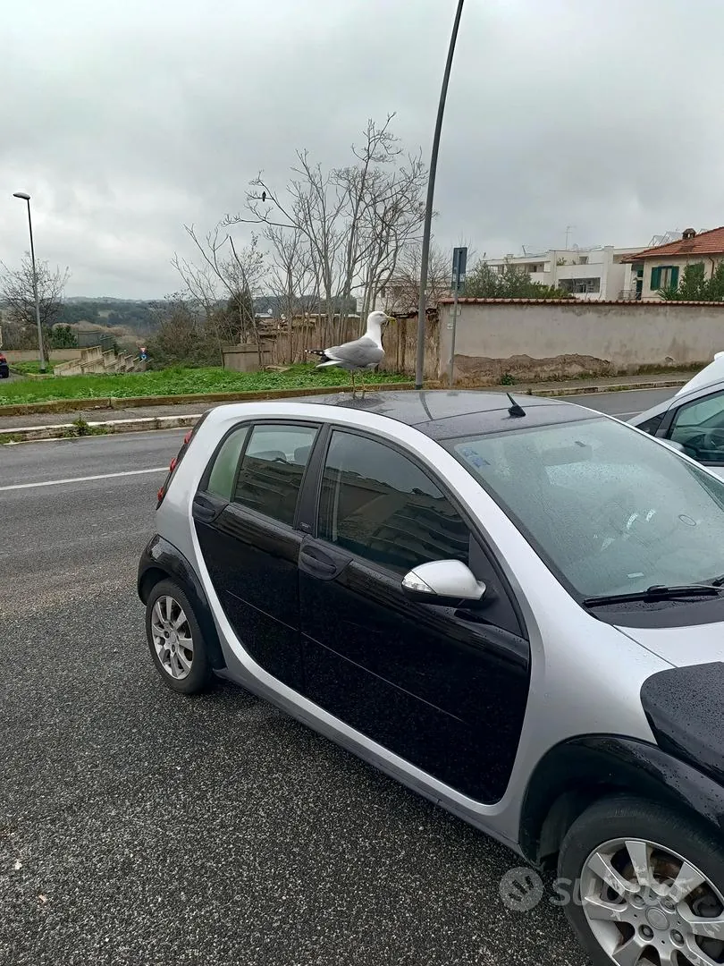 Smart Forfour 2005 photo 2