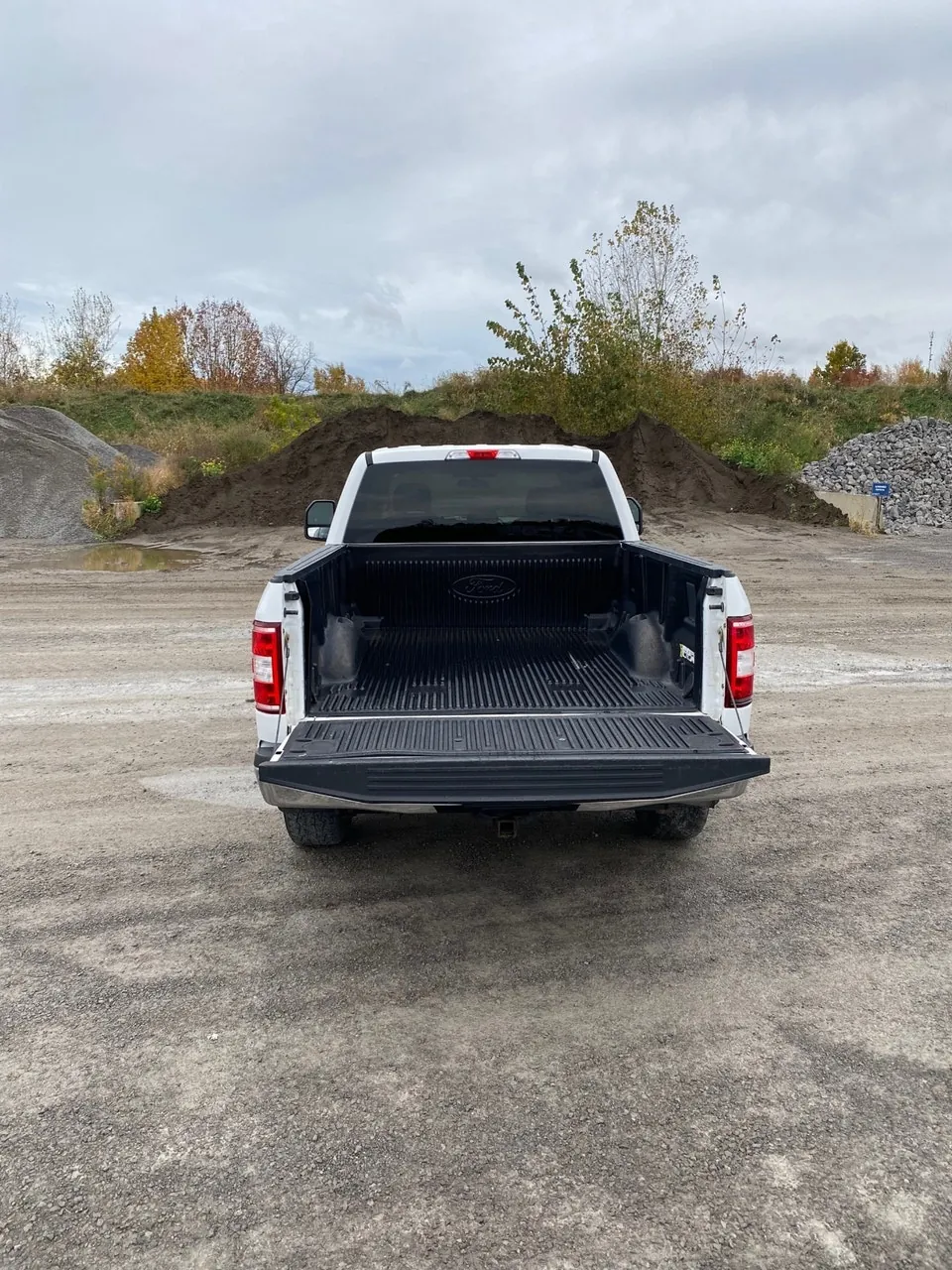 Ford F-150 2019 photo 4