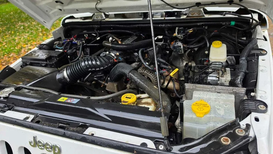Jeep Wrangler 2011 photo 4