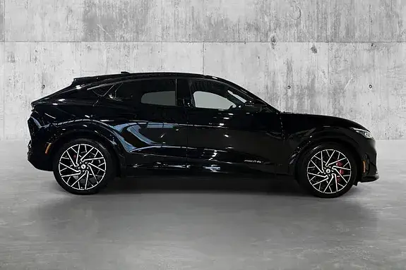 Ford Mustang Mach-E 2022 photo 4