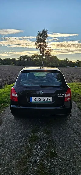 Skoda Fabia 2011 photo 5