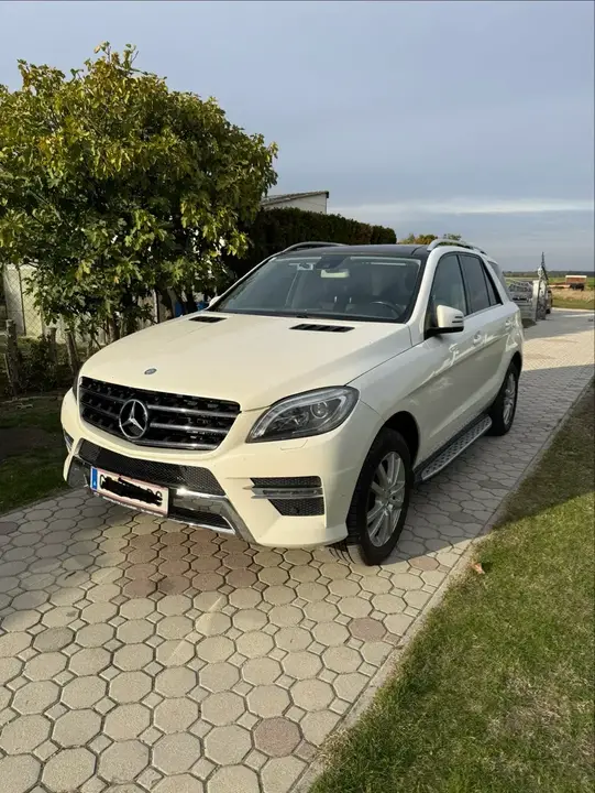 Mercedes-Benz M-Class 2014 photo 2
