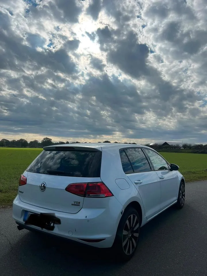 Volkswagen Golf 7