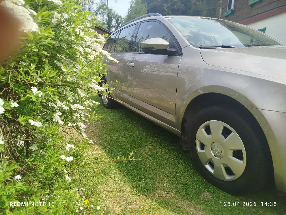 Skoda Octavia 2015 photo 3