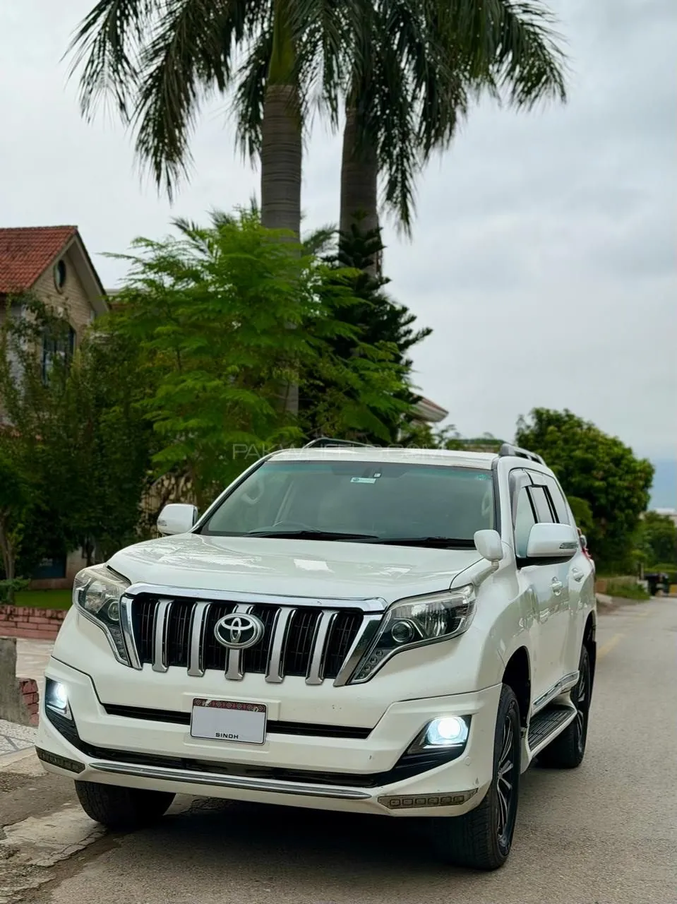Toyota Prado