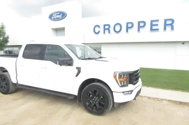 Ford F-150 2023 photo 3