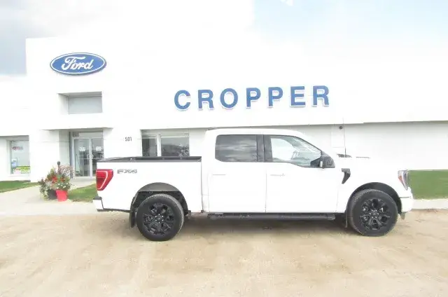 Ford F-150 2023 photo 2