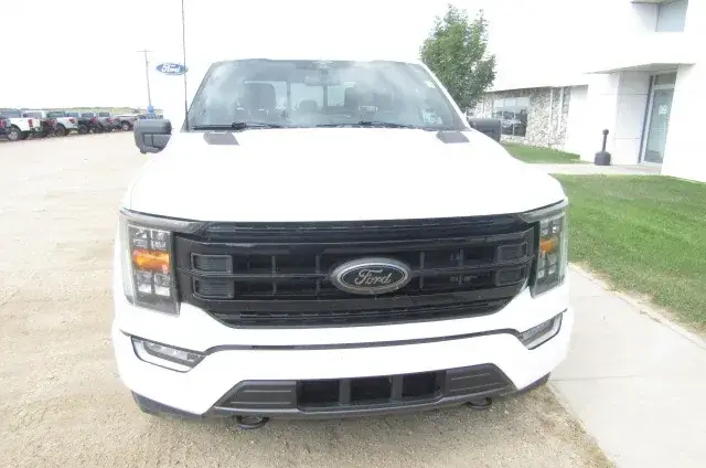 Ford F-150 2023 photo 4