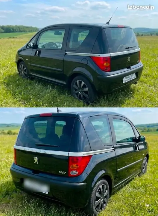 Peugeot 1007 2005 photo 3