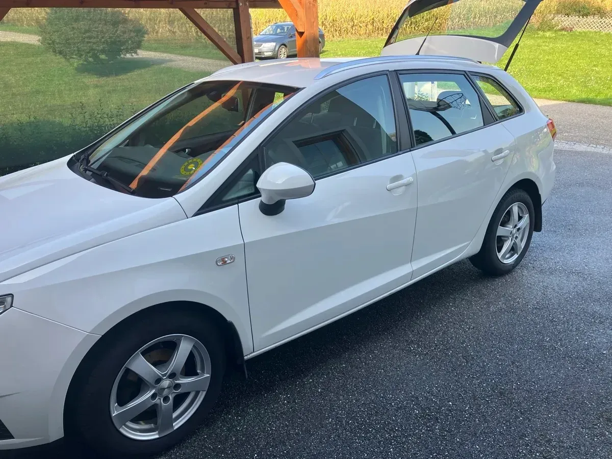 Seat Ibiza 2010 photo 3