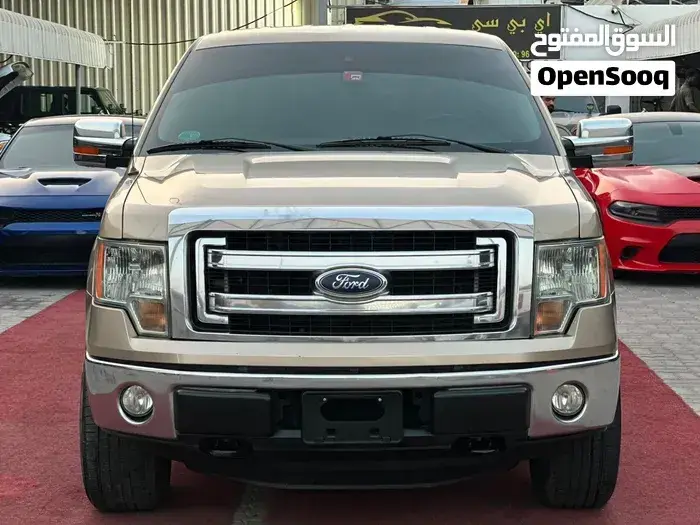 Ford F-150 2014 photo 2