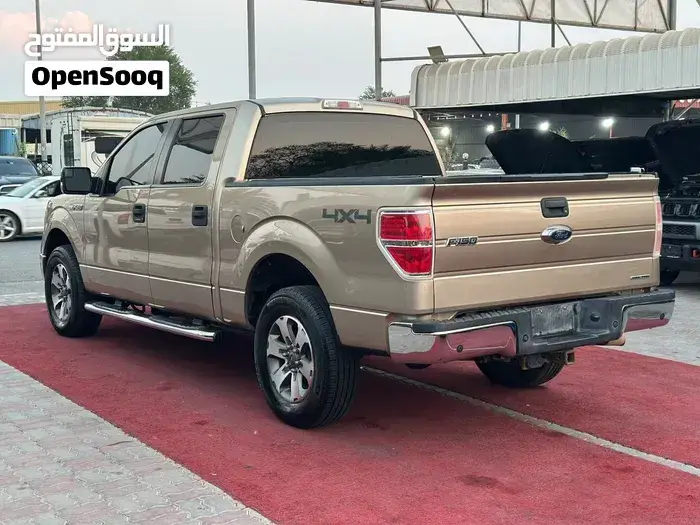 Ford F-150 2014 photo 3