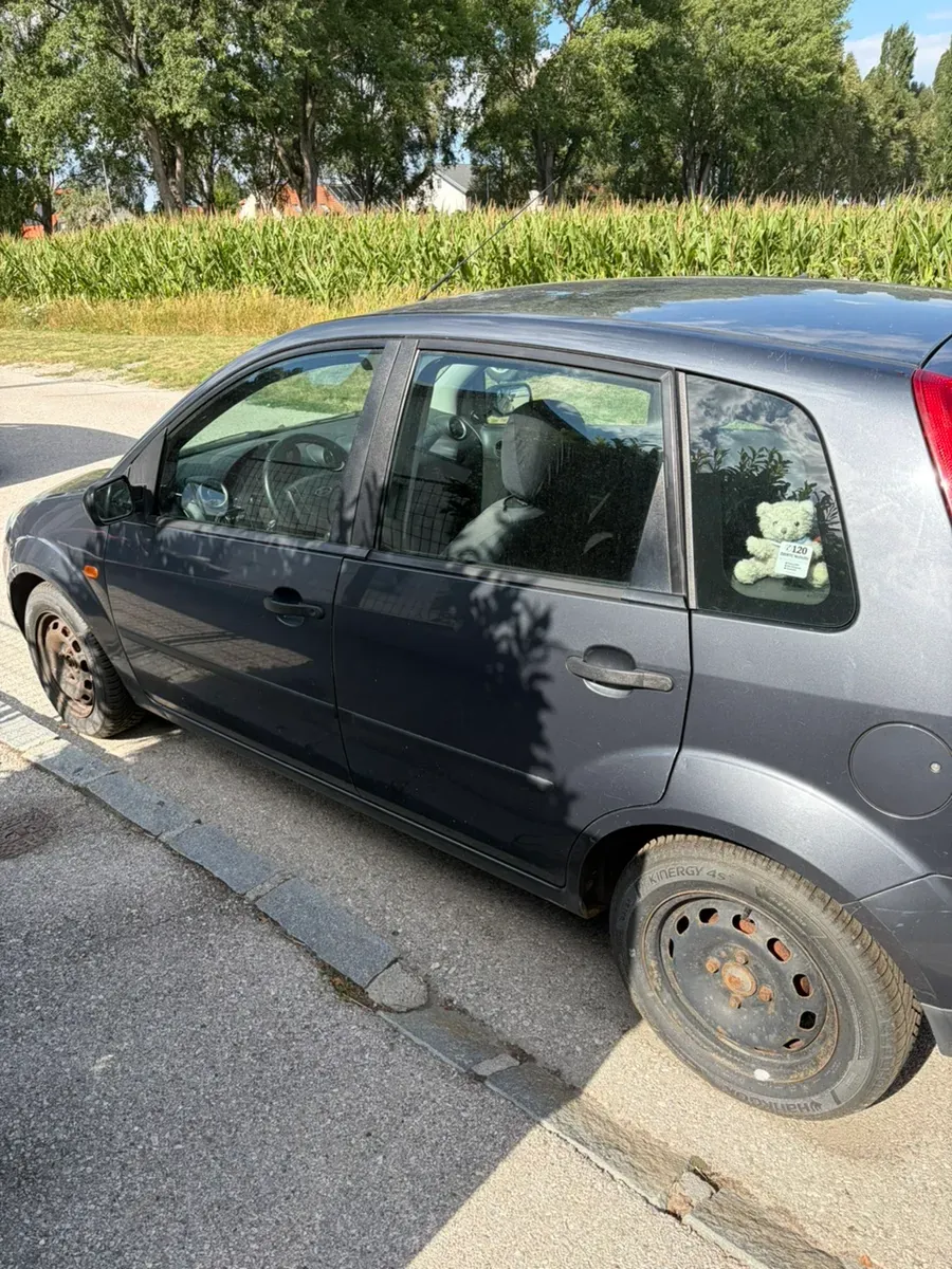 Ford Fiesta 2004 photo 3