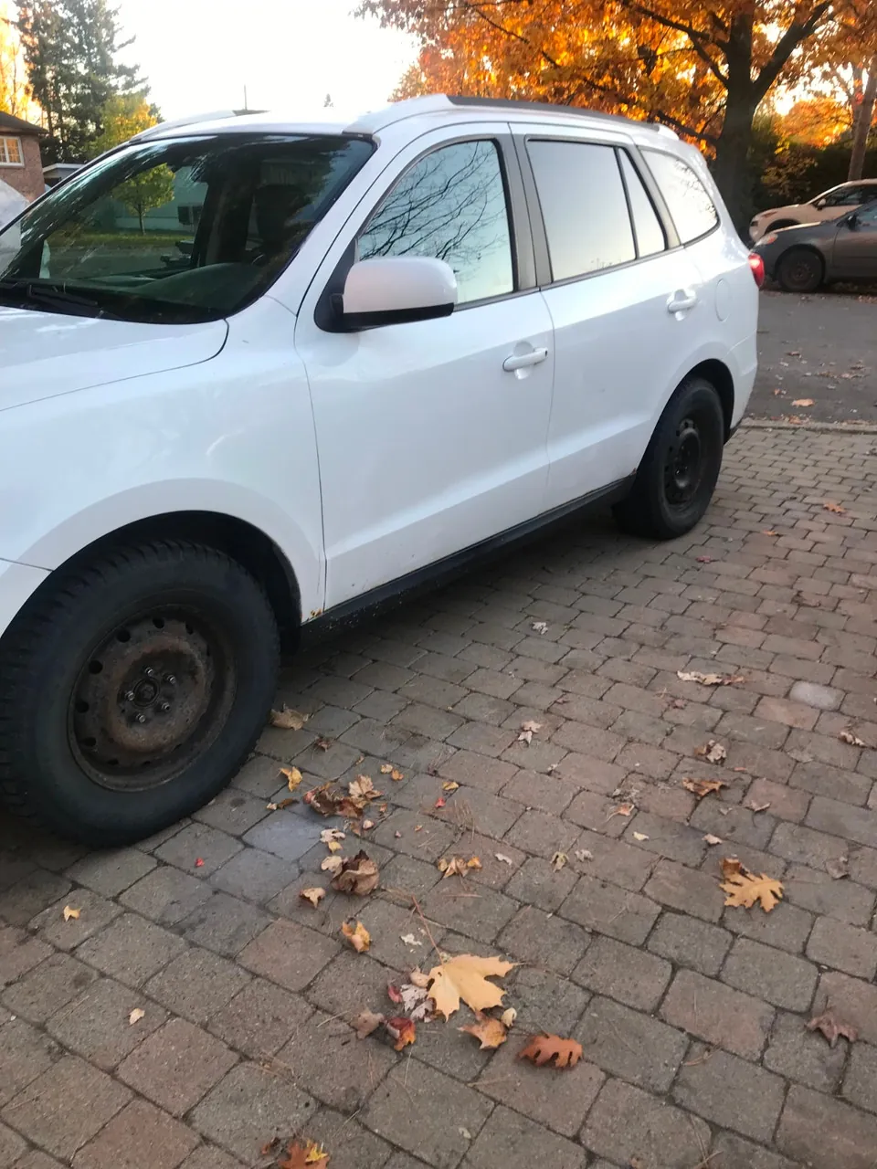 Hyundai Santa Fe 2010 photo 5
