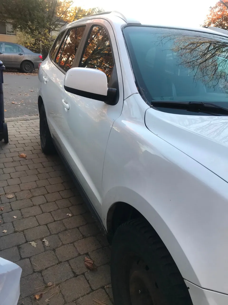Hyundai Santa Fe 2010 photo 2