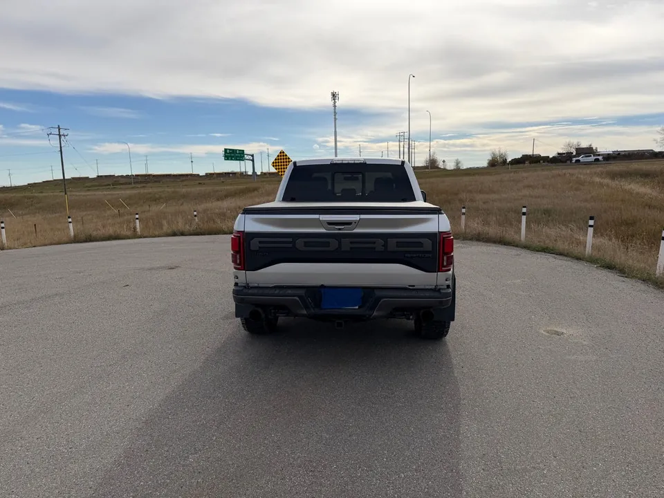 Ford F-150 2019 photo 3