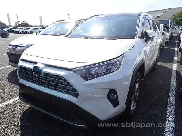 Toyota Rav4 2019 photo 2