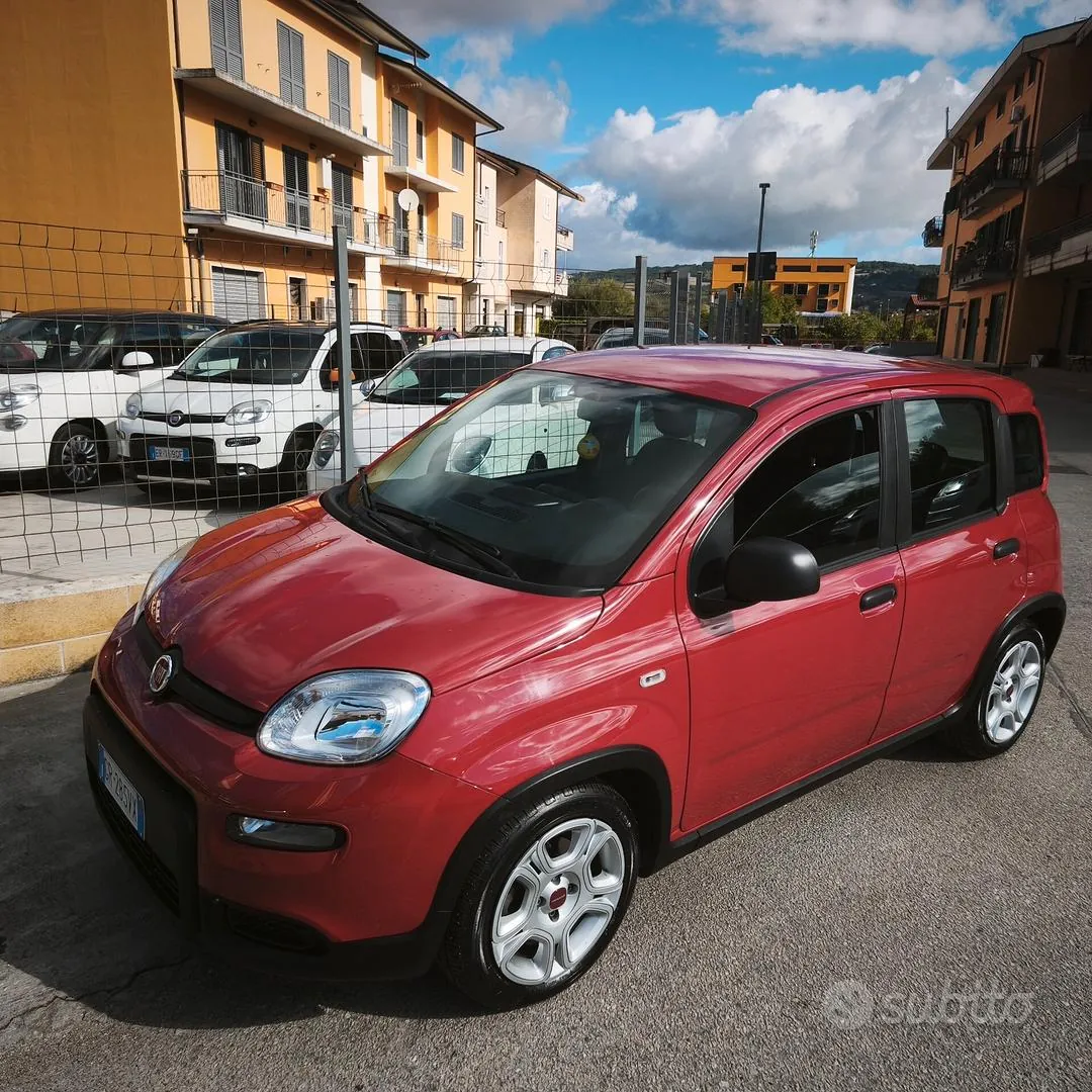 Fiat Panda 2024 photo 2