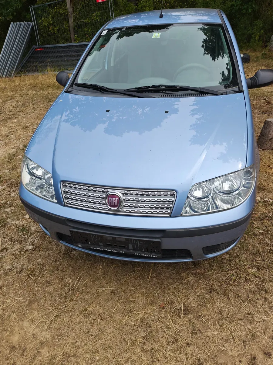 Fiat Punto 2010 photo 2