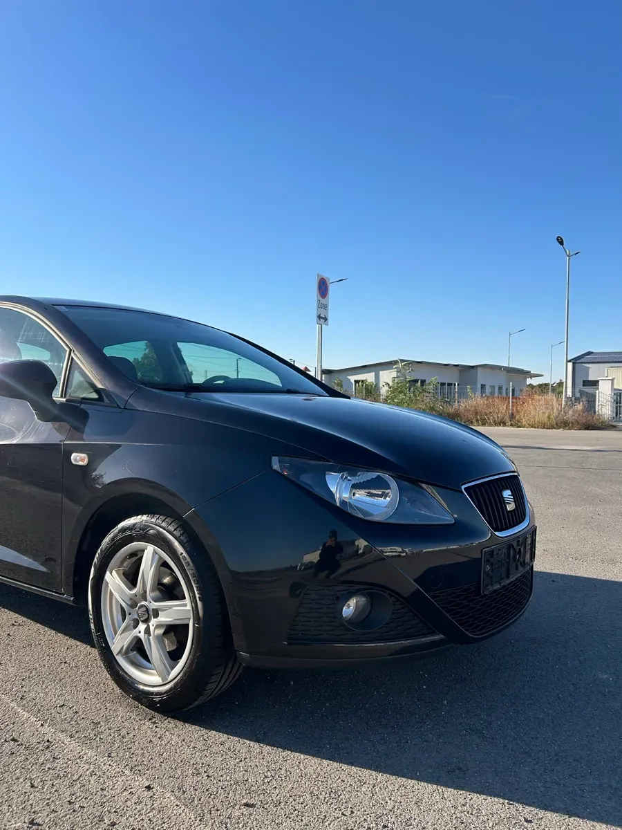 Seat Ibiza 2010 photo 3