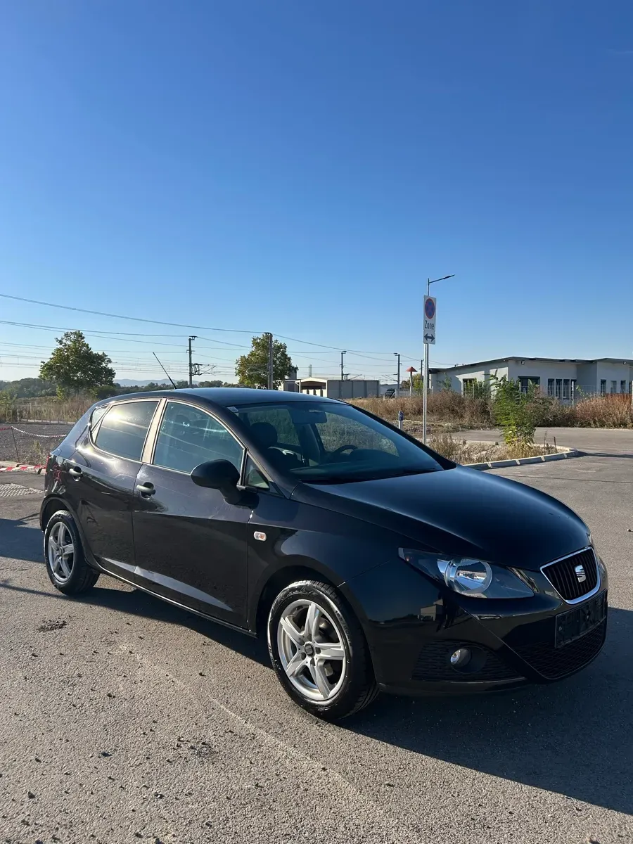 Seat Ibiza 2010 photo 2