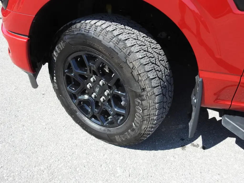 Ford F-150 2025 photo 2