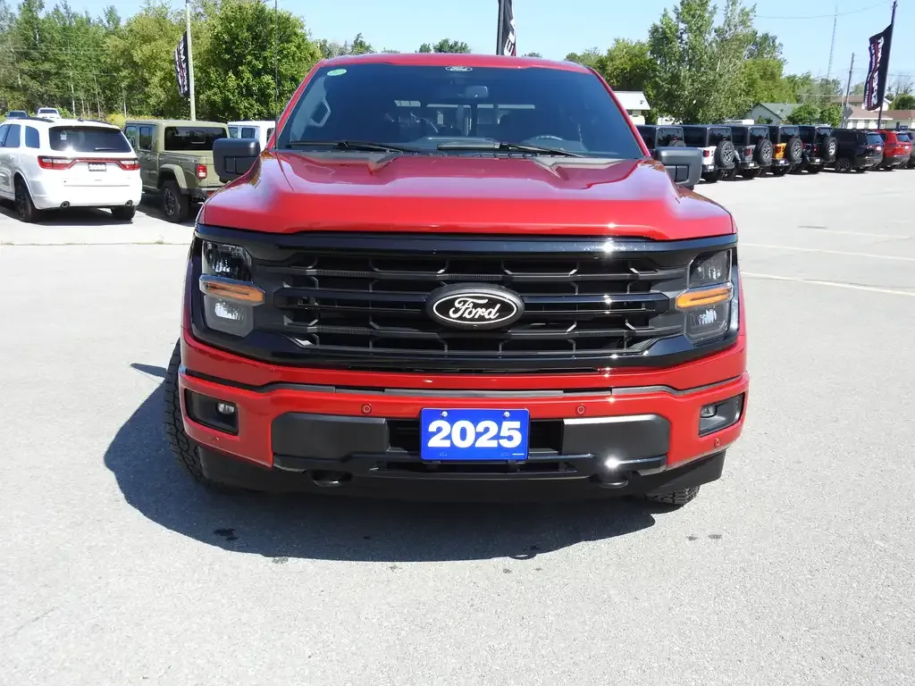 Ford F-150 2025 photo 4