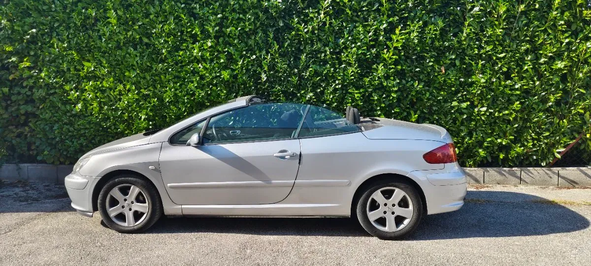 Peugeot 307 2004 photo 2
