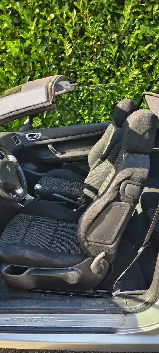 Peugeot 307 2004 photo 3