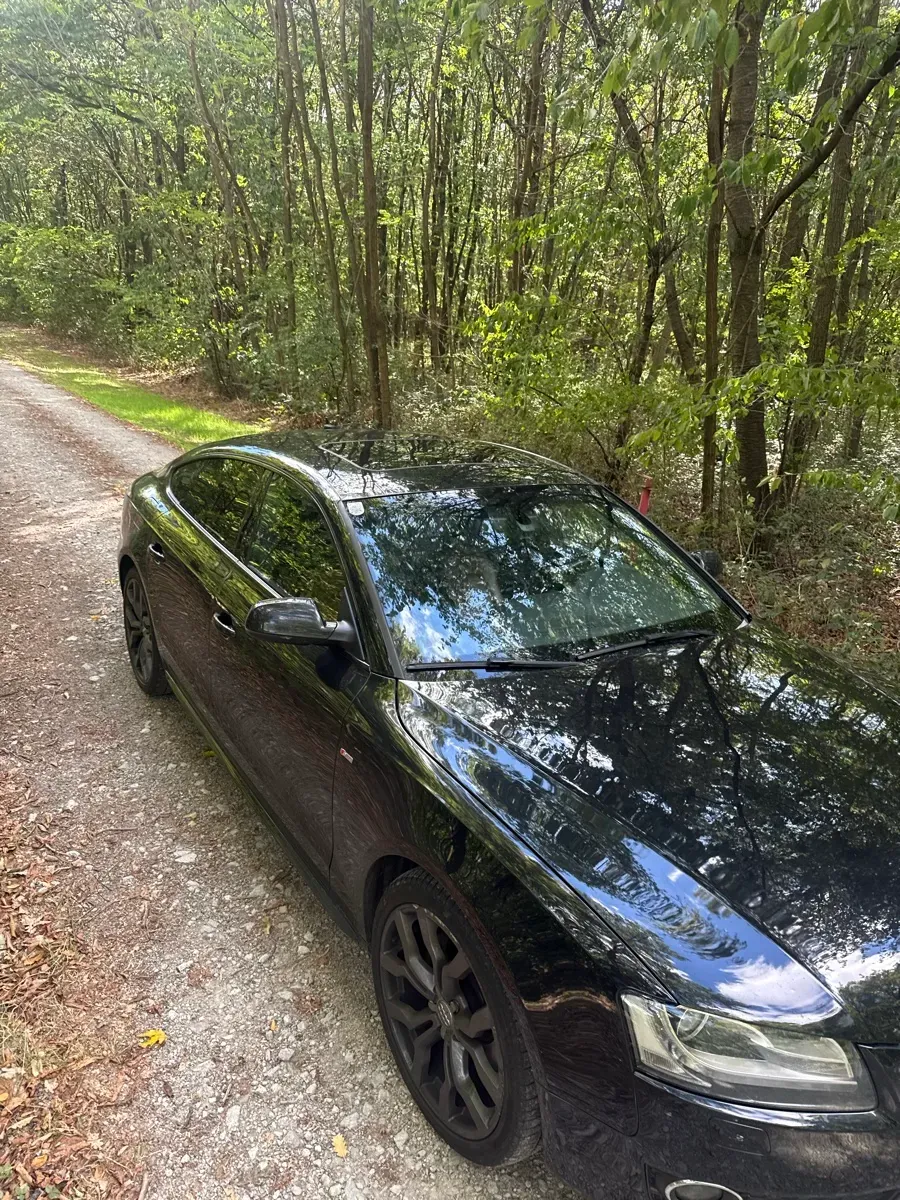 Audi A5 2010 photo 2