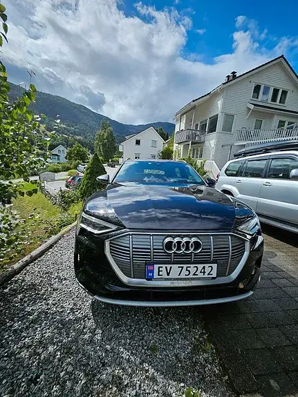 Audi E-Tron 2019 photo 5
