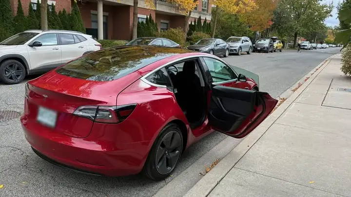Tesla Model 3 2020 photo 4
