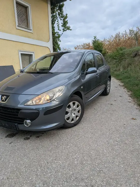 Peugeot 307 2006 photo 3