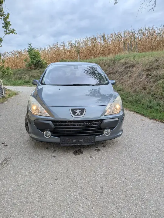 Peugeot 307 2006 photo 2
