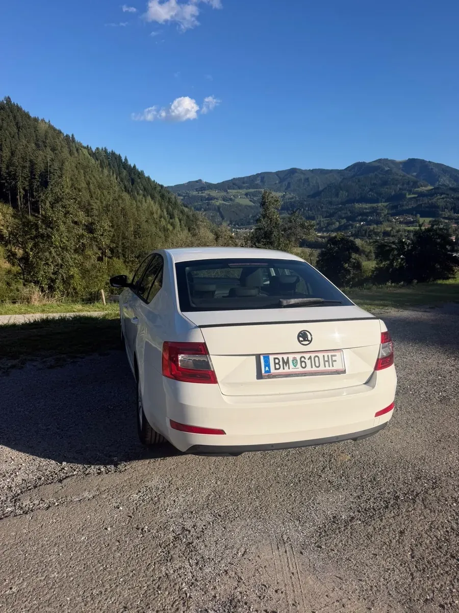 Skoda Octavia 2013 photo 3