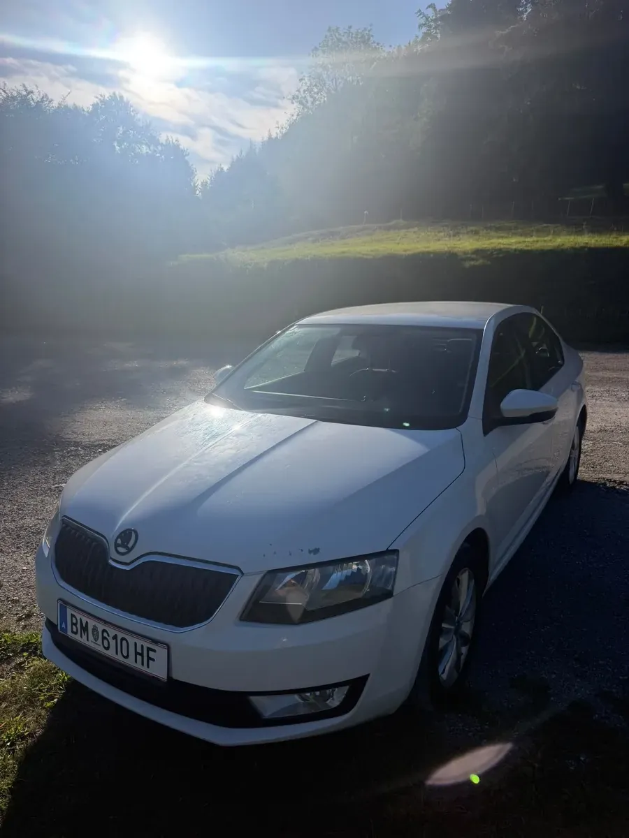 Skoda Octavia 2013 photo 2