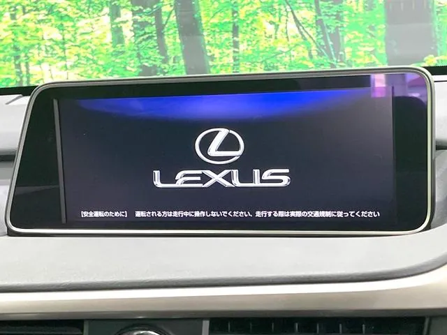 Lexus Rx 200T F-Sport 2017 photo 3