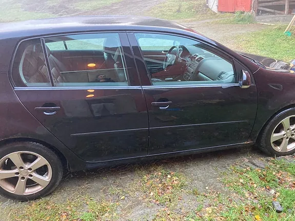 Volkswagen Golf V 2005 photo 2