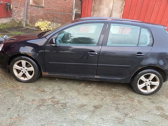 Volkswagen Golf V 2005 photo 3