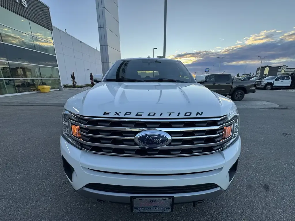 Ford Expedition 2020 photo 3