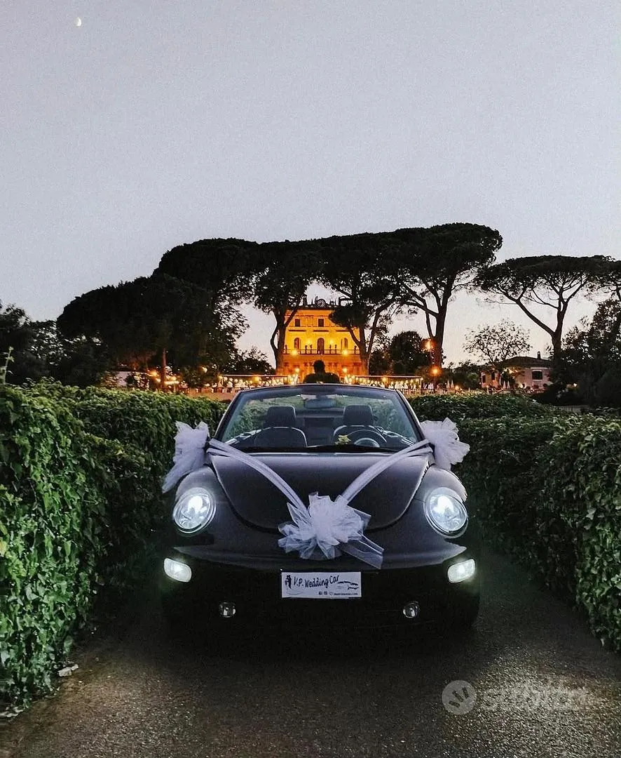 Volkswagen New Beetle
