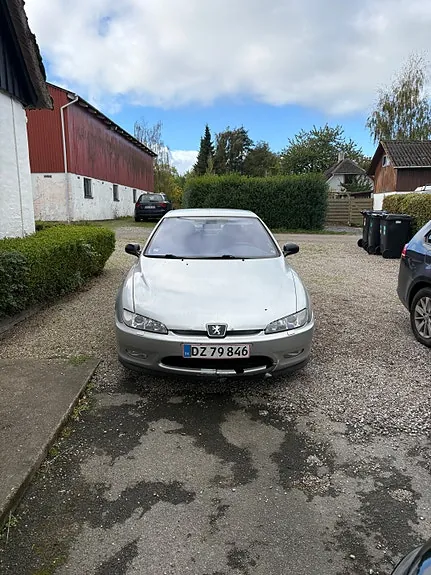 Peugeot 406 2003 photo 2