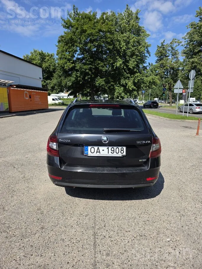 Skoda Octavia 2019 photo 3