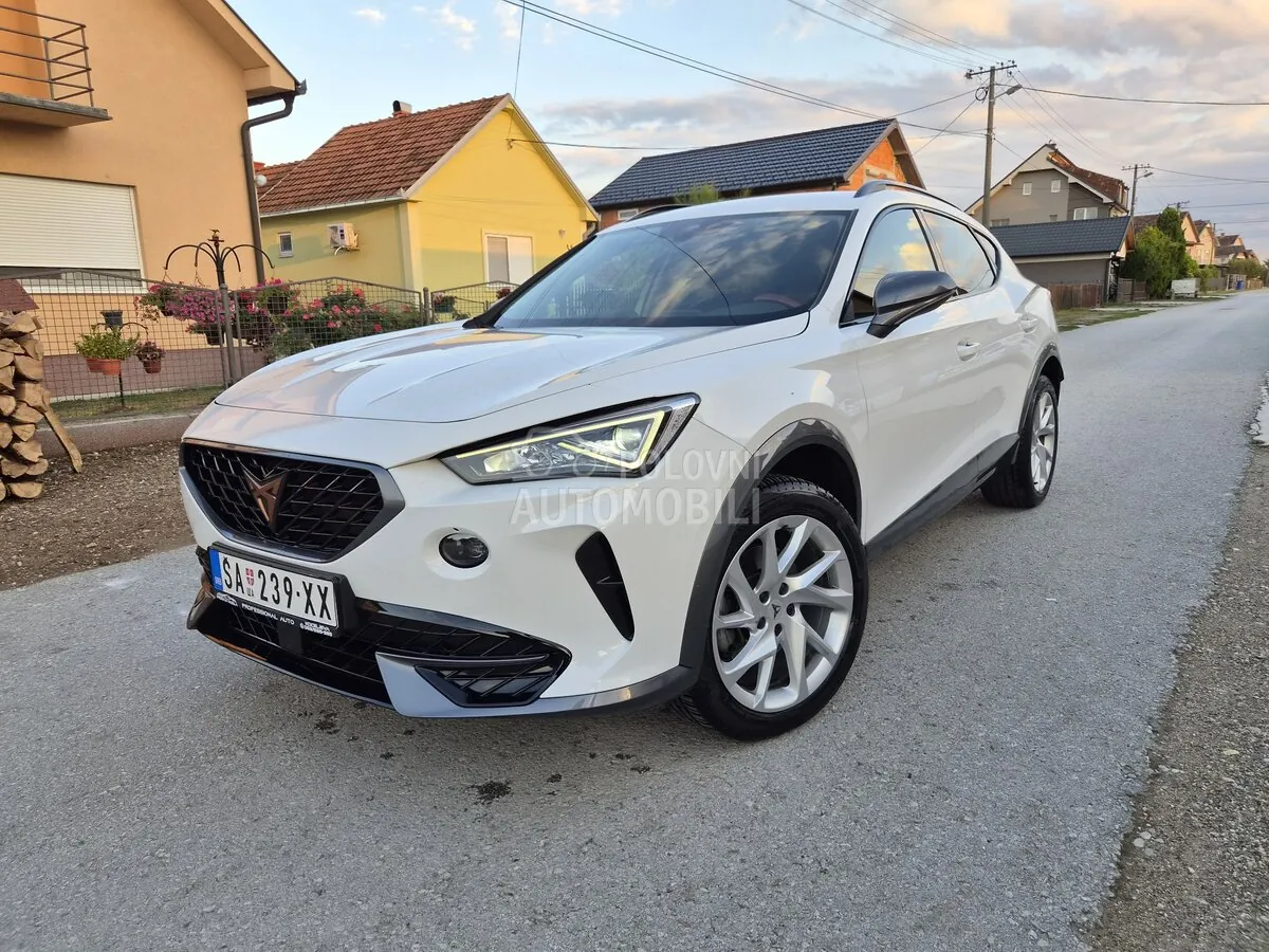 Cupra Formentor 2022 photo 2