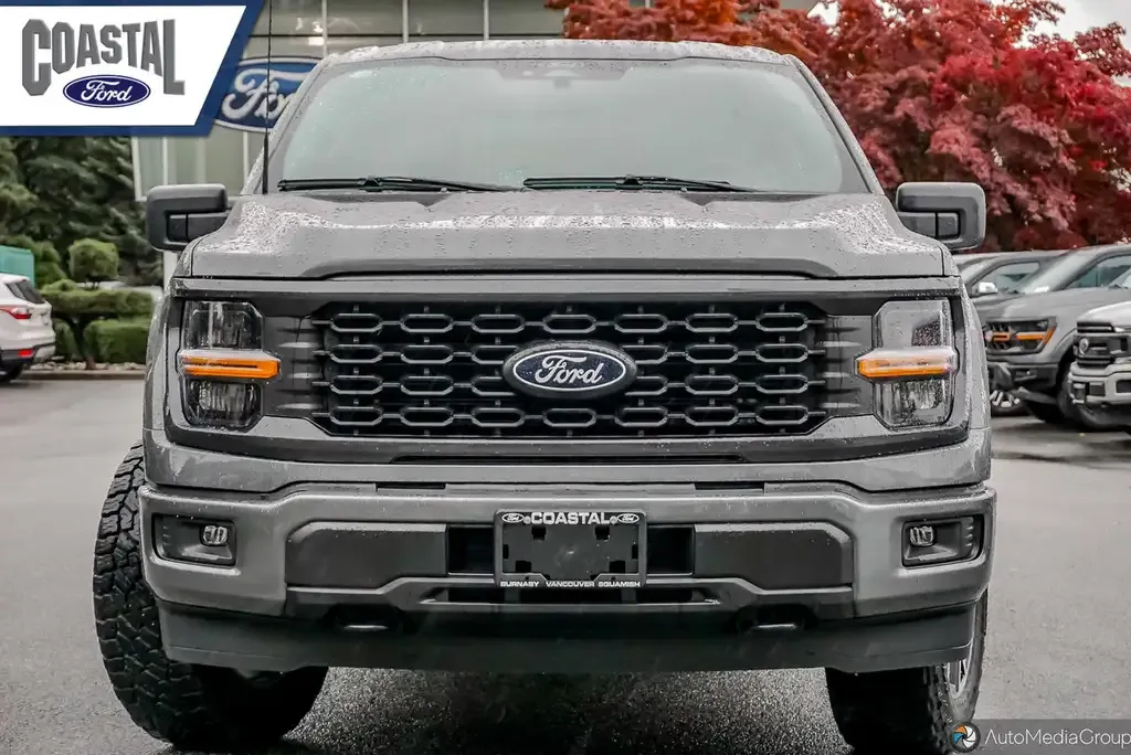 Ford F-150 2025 photo 2